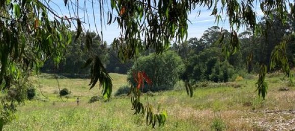 Terreno de 6 dormitorios en Ericeira, Portugal No. 148893 27