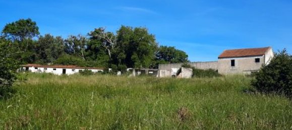 Terreno de 6 dormitorios en Ericeira, Portugal No. 148893 20