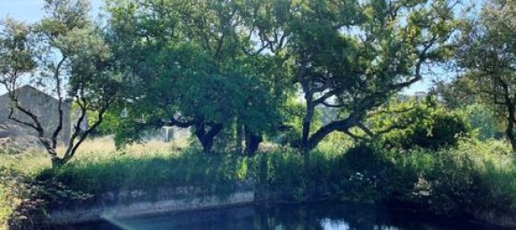 Terreno de 6 dormitorios en Ericeira, Portugal No. 148893 28