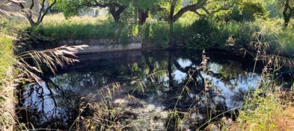 Terreno de 6 dormitorios en Ericeira, Portugal No. 148893 15