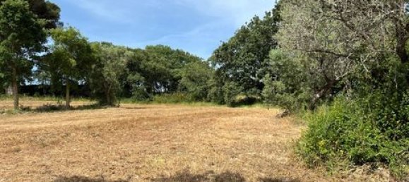 Terreno de 6 dormitorios en Ericeira, Portugal No. 148893 40