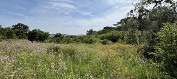 Terreno de 6 dormitorios en Ericeira, Portugal No. 148893 47