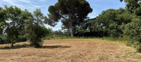 Terreno de 6 dormitorios en Ericeira, Portugal No. 148893 35