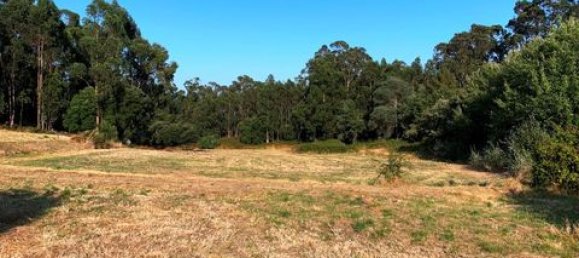 Terreno de 6 dormitorios en Ericeira, Portugal No. 148893 10