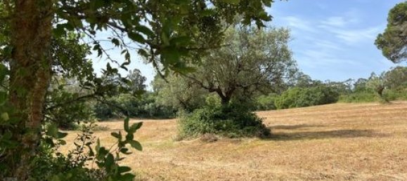 Terreno de 6 dormitorios en Ericeira, Portugal No. 148893 39