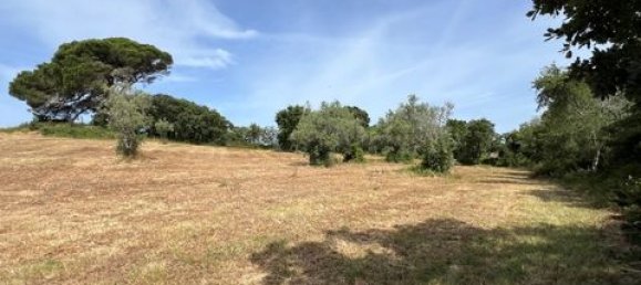 Terreno de 6 dormitorios en Ericeira, Portugal No. 148893 44