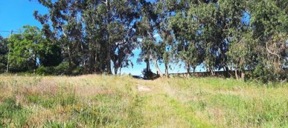 Terreno de 6 dormitorios en Ericeira, Portugal No. 148893 31