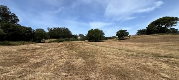 Terreno de 6 dormitorios en Ericeira, Portugal No. 148893 49