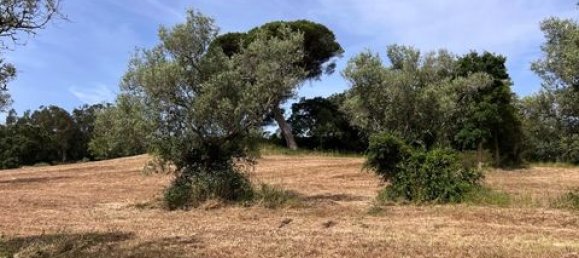 Terreno de 6 dormitorios en Ericeira, Portugal No. 148893 41