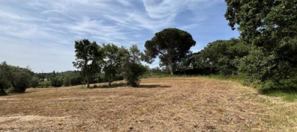 Terreno de 6 dormitorios en Ericeira, Portugal No. 148893 36