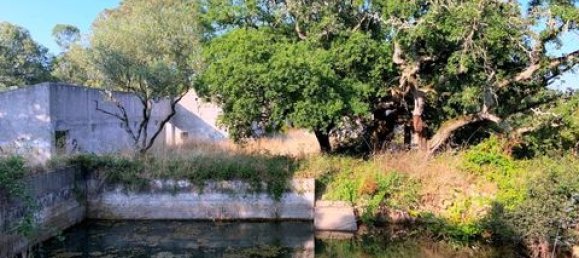 Terreno de 6 dormitorios en Ericeira, Portugal No. 148893 13