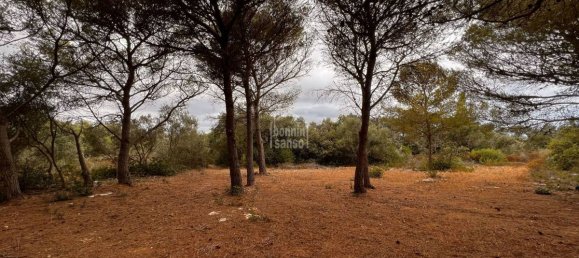  Land in Sant Lluis, Spain No. 5531 2