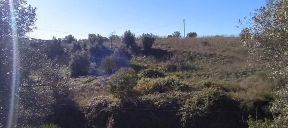 Terrain à Tomar, Portugal 8320m² No. 79620 30