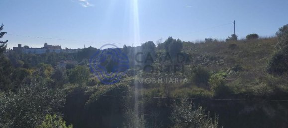 Terrain à Tomar, Portugal 8320m² No. 79620 26