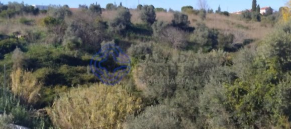 Terrain à Tomar, Portugal 8320m² No. 79620 27