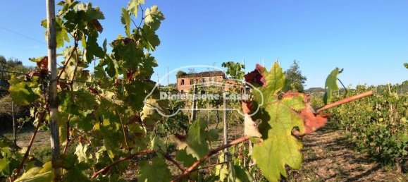 5 Schlafzimmer Haus in Montecarlo, Italy, Nr. 167104 5