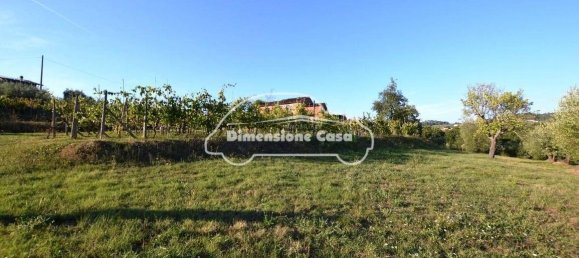 5 Schlafzimmer Haus in Montecarlo, Italy, Nr. 167104 11