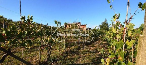 5 Schlafzimmer Haus in Montecarlo, Italy, Nr. 167104 2