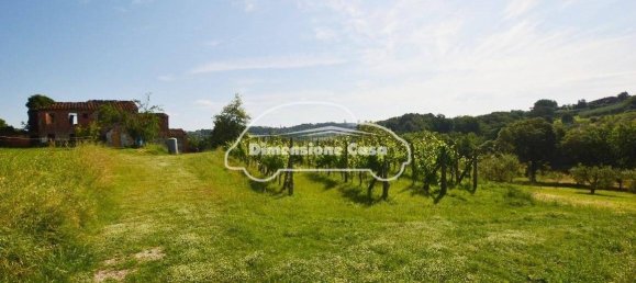 5 Schlafzimmer Haus in Montecarlo, Italy, Nr. 167104 20