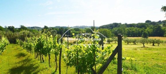 5 Schlafzimmer Haus in Montecarlo, Italy, Nr. 167104 19