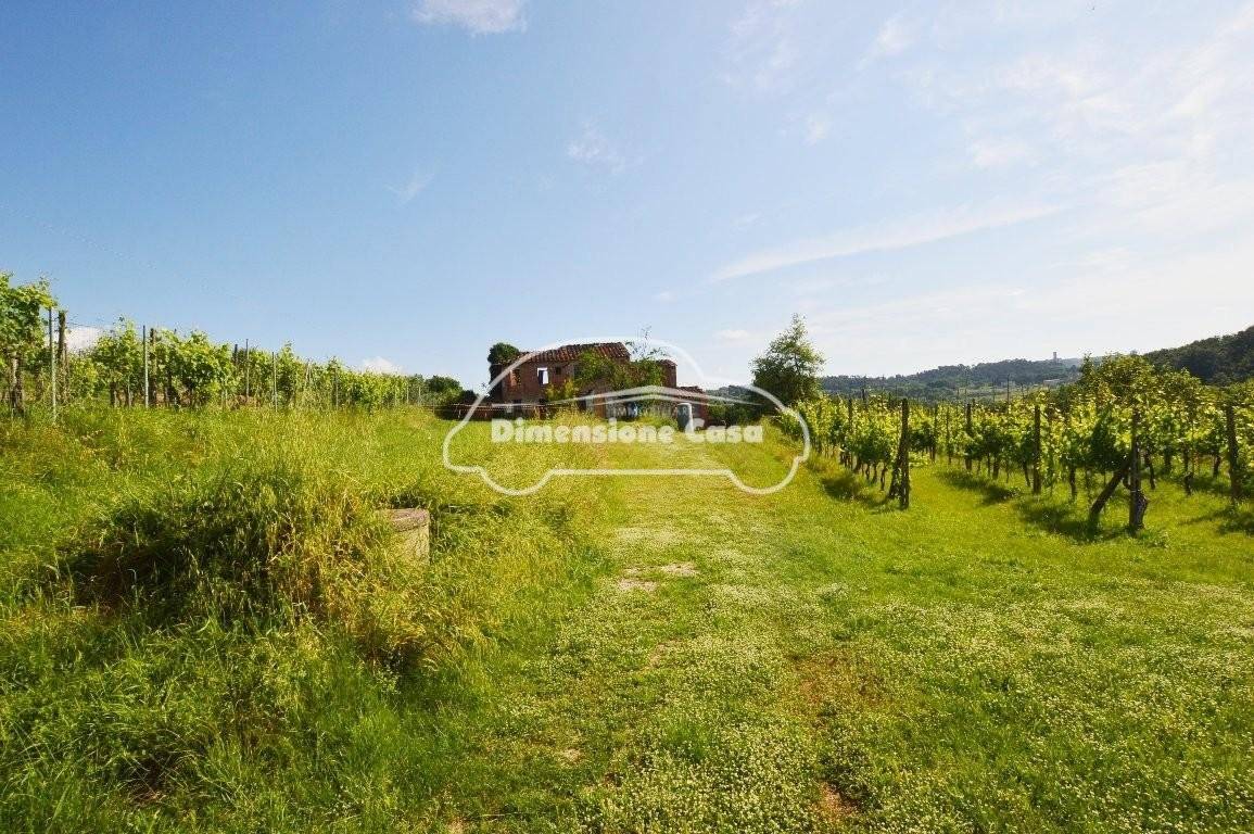 5 Schlafzimmer Haus in Montecarlo, Italy, Nr. 167104