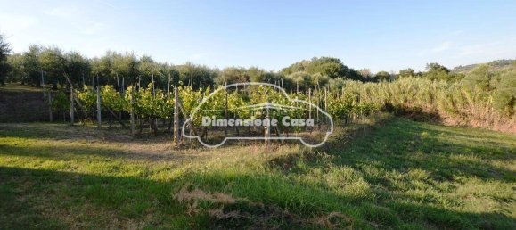 5 Schlafzimmer Haus in Montecarlo, Italy, Nr. 167104 16