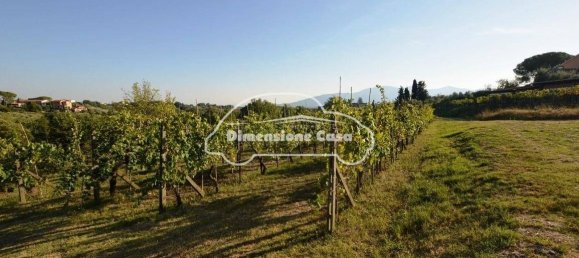 5 Schlafzimmer Haus in Montecarlo, Italy, Nr. 167104 15