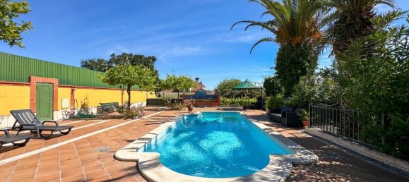 8 bedrooms House in Torres Novas, Portugal No. 49922 43