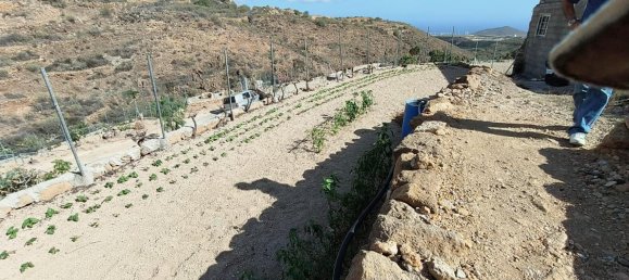 2 bedrooms House in Granadilla de Abona, Spain No. 157773 17