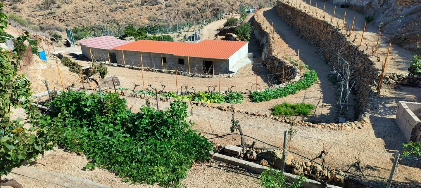 2 bedrooms House in Granadilla de Abona, Spain No. 157773