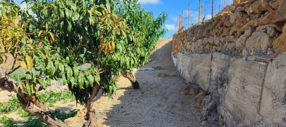 2 bedrooms House in Granadilla de Abona, Spain No. 157773 13