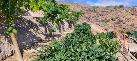 2 bedrooms House in Granadilla de Abona, Spain No. 157773 19