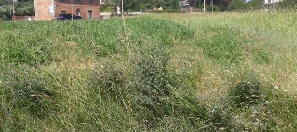 Terrain à Castiglione del Lago, Italy 2090m² No. 295704 2