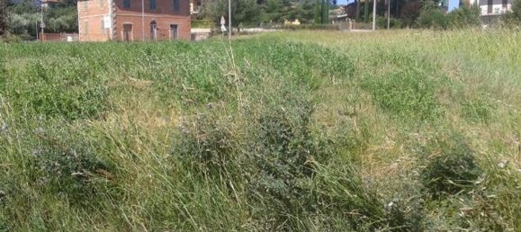 Terrain à Castiglione del Lago, Italy 2090m² No. 295704 4