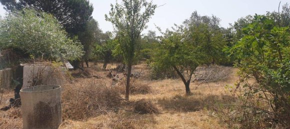 4-Zimmer Villa in Aprilia, Italy, Nr. 231212 4