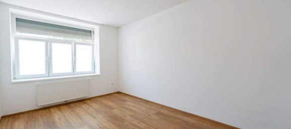 3-salle Appartement à Pottendorf, Austria No. 254742 8