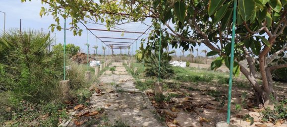 6 Schlafzimmer Haus in La Marina, Spain, Nr. 185165 33