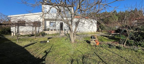 4 غرف نوم منزل في Oliveira de Frades, Portugal رقم 184277 30