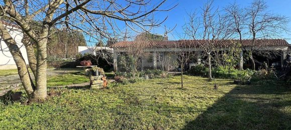 4 غرف نوم منزل في Oliveira de Frades, Portugal رقم 184277 28