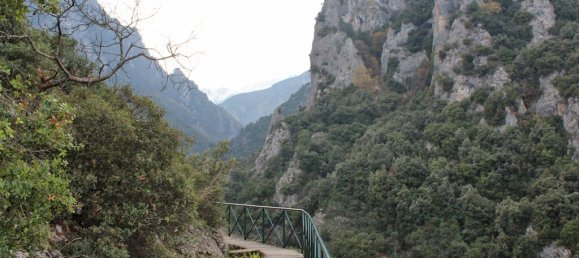 3 bedrooms Commercial property in Litochoro, Greece No. 2621 27