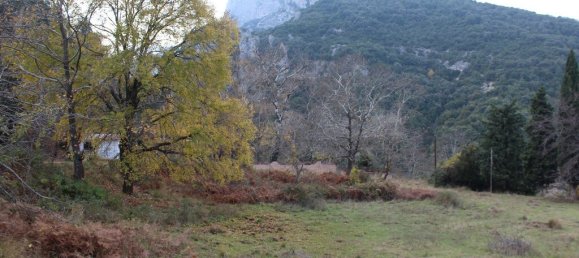 3 bedrooms Commercial property in Litochoro, Greece No. 2621 10