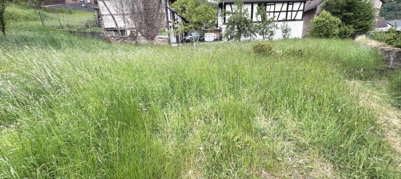  Land in Ahrweiler, Germany No. 316007 2