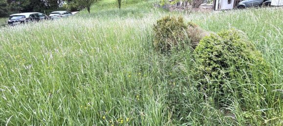  Land in Ahrweiler, Germany No. 316007 4