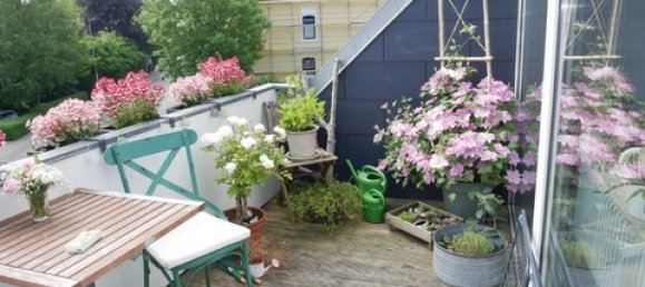 Apartamento de 2 dormitorios en Schleswig-Flensburg, Germany No. 44377 7