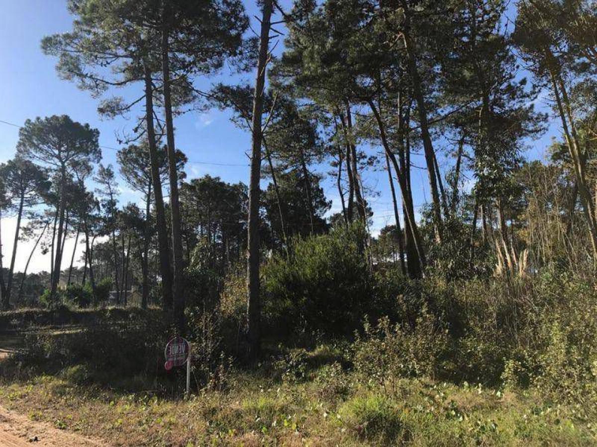 Terreno en Mar del Plata, Argentina No. 119905