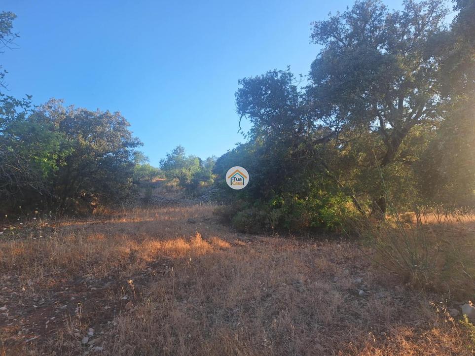 Земельный участок 4960м² в Фару, Португалия № 317972