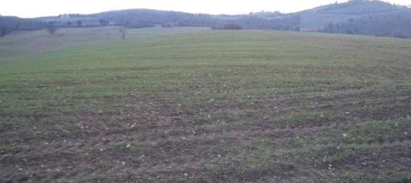 Земельный участок 168500м² в Тоди, Италия № 65250 3