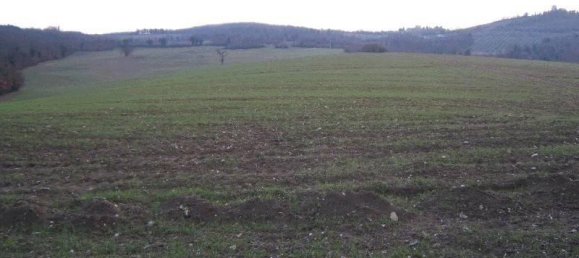 Земельный участок 168500м² в Тоди, Италия № 65250 4