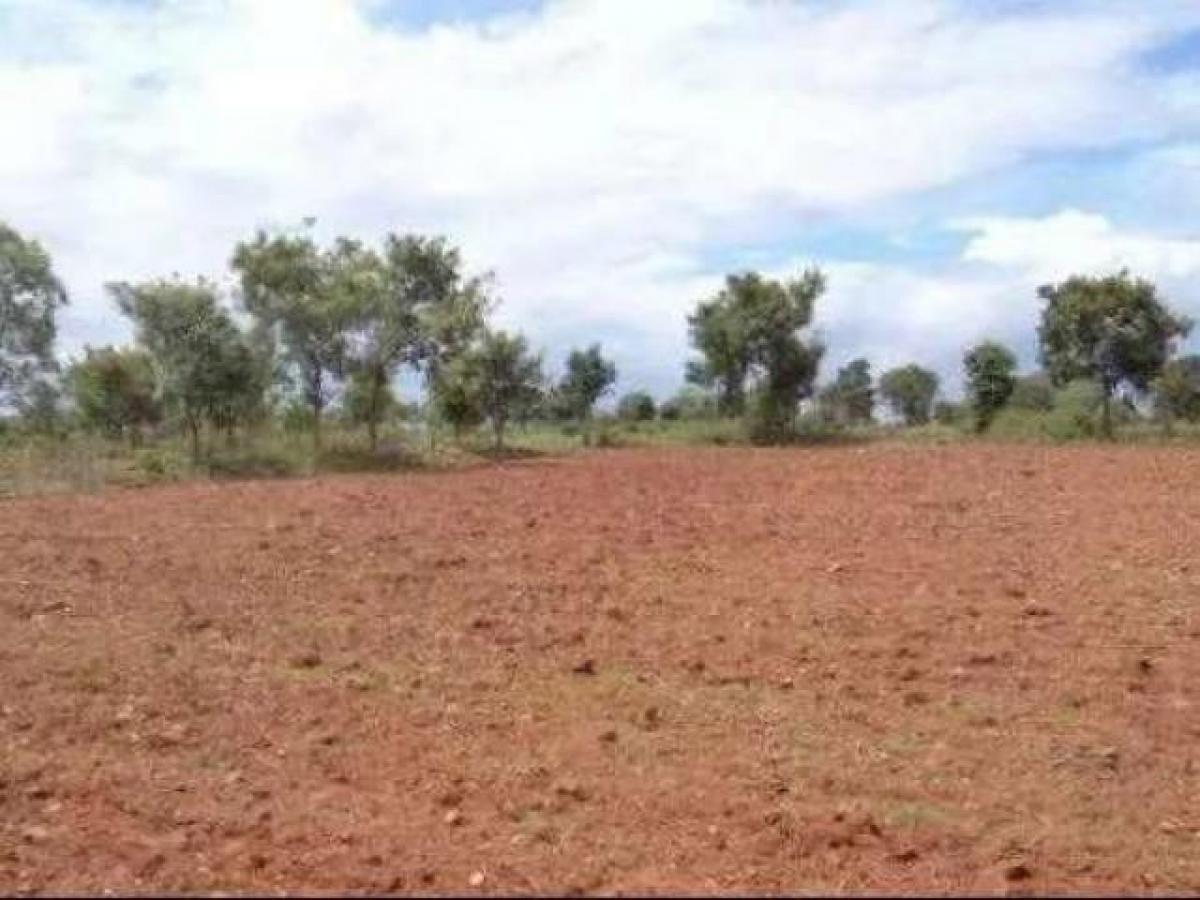  Land in Ghaziabad, India No. 34551