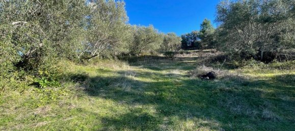 11029m² Hotel in Corfu, Greece No. 2572 4